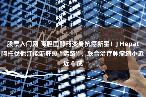 股票入门网 降胆固醇药变身抗癌新星！J Hepatol：阿托伐他汀能断肝癌“活路”，联合治疗肿瘤缩小近 6 成