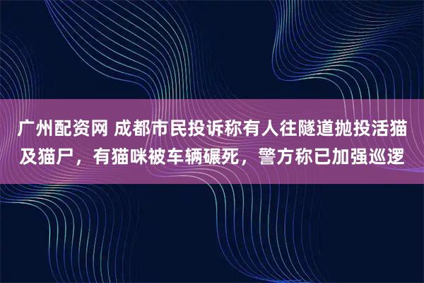 广州配资网 成都市民投诉称有人往隧道抛投活猫及猫尸，有猫咪被车辆碾死，警方称已加强巡逻